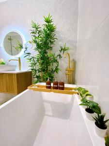 墨尔本The Daisy House - Family-friendly & top convenient location的浴室设有盆栽植物和水槽
