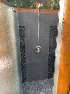 KealakekuaManta Soul Jungle Geodome的浴室内配有淋浴和头顶淋浴
