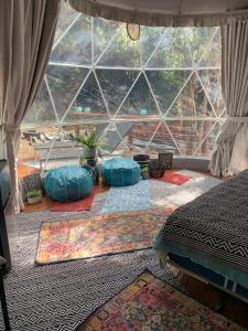 KealakekuaManta Soul Jungle Geodome的一间位于地板上的客房,配有枕头和窗户