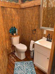 KealakekuaManta Soul Jungle Geodome的一间带卫生间和水槽的浴室