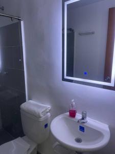 库库塔Para estrenar agradable apartamento acogedor的一间带卫生间、水槽和镜子的浴室