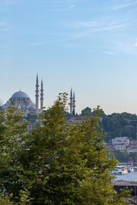 伊斯坦布尔Art Karaköy Suites的享有清真寺的景象,有树在前方