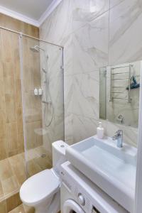阿拉木图Asaapart Vernyi Room 3的浴室配有卫生间、盥洗盆和淋浴。