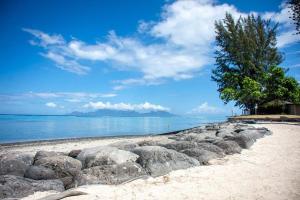 普纳奥亚Tuatahi Beach Lodge的靠近水面的海滩上的一群岩石