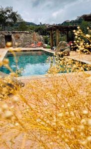 PietralbaRésidence de Luxe 4 étoiles à Pietralba, 4 logements piscine chauffée BALAGNE的庭院中间的游泳池