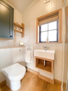 KettonThe Black Swan Shepherd Hut的一间带卫生间和水槽的浴室