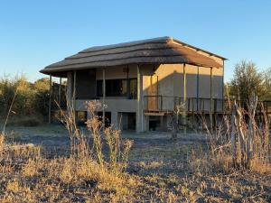 MababeMababe River Lodge & Campsite的田野上茅草屋顶的房子