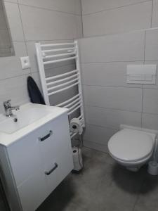 哈沃福卡Domček u Vojta的白色的浴室设有卫生间和水槽。