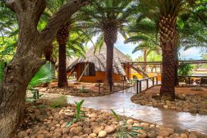 奥马鲁鲁Omaruru Game Lodge的棕榈树和建筑度假村