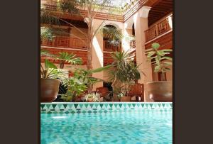 马拉喀什阿尔卡萨Spa庭院旅馆的一座种植了盆栽植物的建筑中的游泳池