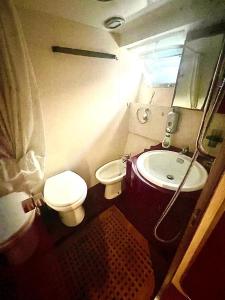 斯培西亚Yacht 18 metri d'epoca的一间带卫生间和水槽的小浴室