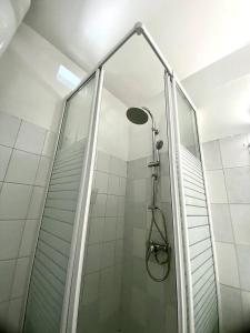 莱特鲁瓦西莱Apt T1,bien situé Anse Mitan Trois Ilets的浴室里设有玻璃门淋浴