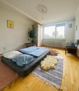 慕尼黑Helle, grosse, zentrale Wohnung mit Balkon的一张位于地毯间的大床