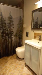 博雷Klintholm Bed & Breakfast & Bistro的浴室配有卫生间、盥洗盆和淋浴。