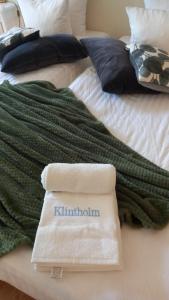 博雷Klintholm Bed & Breakfast & Bistro的一张带绿毯的床和一本书