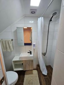 Guest House Club Hípico的一间浴室