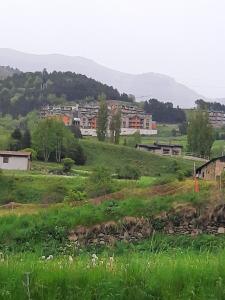 卡尼略Flor de Muntanya的山丘上的城镇,有绿色的草地和建筑