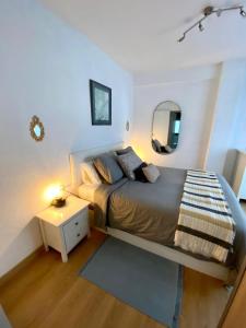 奥维多Apartamentos Oviedo centro apartastur26的一间卧室配有一张大床和镜子