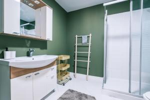 伊斯坦布尔Chic的浴室设有绿色的墙壁、水槽和淋浴。