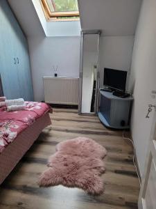 克卢日-纳波卡Casa Eni的卧室的地板上铺有粉红色地毯。