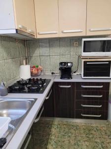 克卢日-纳波卡Casa Eni的厨房配有炉灶、水槽和微波炉