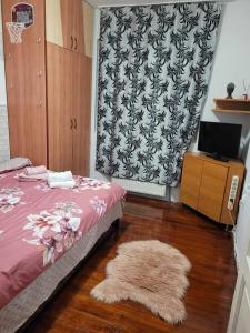 克卢日-纳波卡Casa Eni的一间卧室配有一张床、地毯和电视。