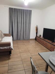 克卢日-纳波卡Casa Eni的带沙发和平面电视的客厅