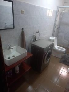 雅温得Appartement chic au quartier Omnisport的一间带水槽和洗衣机的浴室