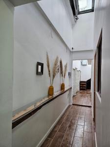圣地亚哥Guest House Club Hípico的架子上挂着两盆植物的走廊