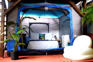 巴拿马城巴拿马之家住宿加早餐旅馆的帐篷内的卧室,配有一张床