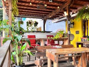 巴拿马城巴拿马之家住宿加早餐旅馆的庭院设有木长椅和桌椅