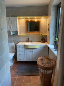 岑讷Toghale的一间带水槽、卫生间和镜子的浴室