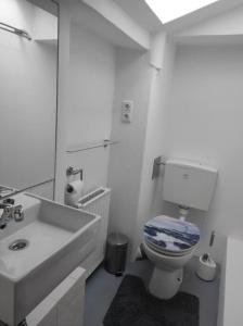 布隆Ferienhaus Bieberhöhe的白色的浴室设有卫生间和水槽。