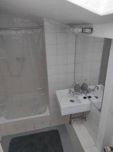 布隆Ferienhaus Bieberhöhe的白色的浴室设有水槽和淋浴。