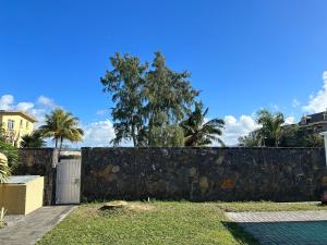 蓝海湾Villa De Alisha的棕榈树庭院中的挡墙