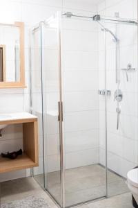 丰塔内拉Faschina Apartment - Top 4的带淋浴的浴室和玻璃门