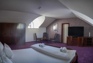 拉克塔希Hotel Laktaši的配有一张床和一台平面电视的酒店客房