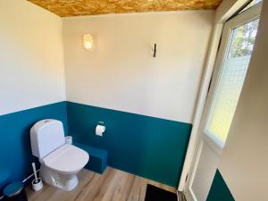 SkibbyCozy Tiny House on a farm的一间带卫生间和窗户的浴室