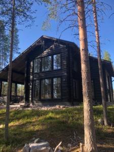 普哈圣山Log-house at Pyhätunturi ski resort.的树林里的木头小屋
