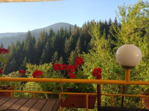 亚戈迪纳Guest House Stoletnika的阳台种有红色花卉,享有山景