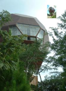 NyambadweSonke Ball House(Nyumba Yangati Mpira)的一座拥有很多窗户和树木的建筑