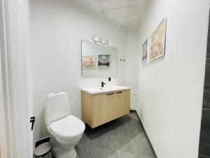 腓特烈港aday - Frederikshavn apartment on the Pedestrian street的一间带卫生间和水槽的浴室