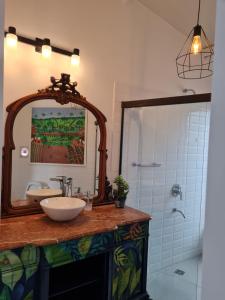 圣贝纳迪诺La Pinta Hotel Boutique的一间带水槽和镜子的浴室