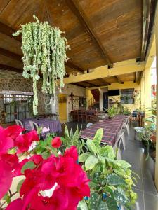 科万El Calvario Hostal的一间设有桌子和红色鲜花及吊灯的房间