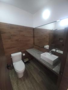 克鲁奇塔Terramar Hoteles的一间带卫生间、水槽和镜子的浴室