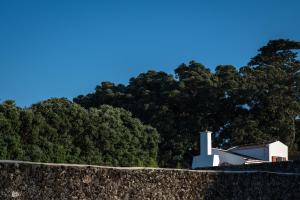 大里贝拉ENTRE MUROS - Turismo Rural - Casa com jardim e acesso direto ao mar的一面墙,背着房子和树木