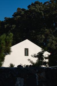 大里贝拉ENTRE MUROS - Turismo Rural - Casa com jardim e acesso direto ao mar的白色的建筑,窗户靠近一些树