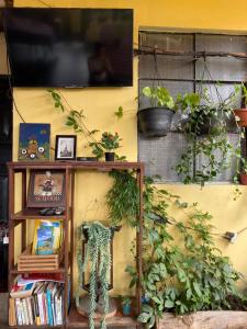 科万El Calvario Hostal的一间配有电视的房间,墙上挂着一些植物