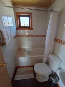 梅利佩乌科Hostal Turismo Allipen的浴室配有卫生间、盥洗盆和浴缸。