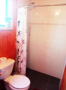 梅利佩乌科Hostal Turismo Allipen的一间带卫生间和淋浴帘的浴室